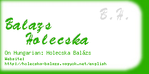 balazs holecska business card